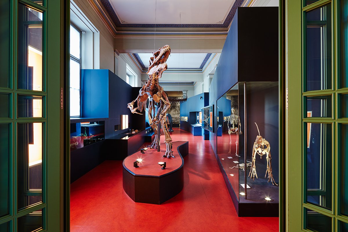 Dauerausstellung Dino und Saurier - Naturhistorisches Museum Basel © Gregor Brändli