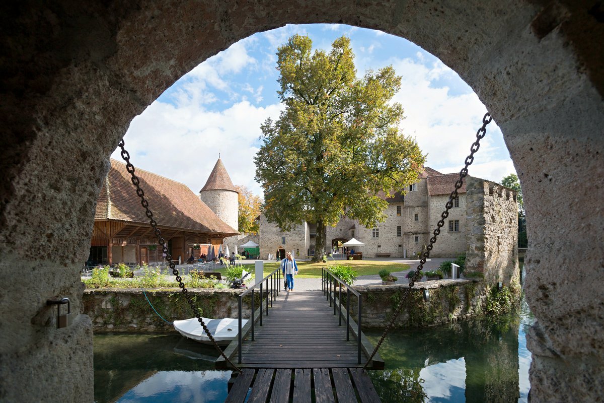 Blick in den Schlosshof, Schloss Hallwyl, Kanton Aargau