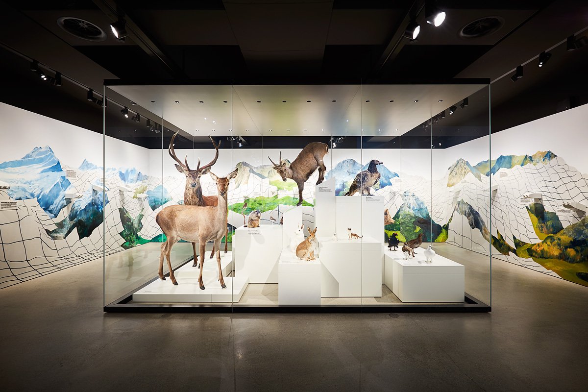 Dauerausstellung Schauplatz Natur - Naturhistorisches Museum Basel © Gregor Brändli